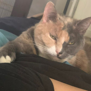 Meet your Posher, Lexi